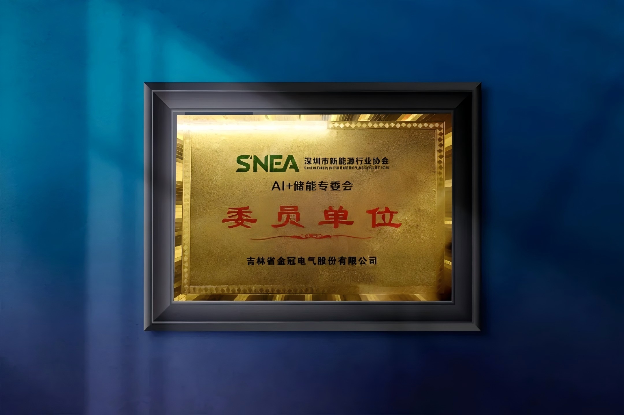 聚力“AI+储能”|mksports体育入选深圳市新能源行业协会“AI+储能”专委会委员单位 聚力“AI+储能”|mksports体育入选深圳市新能源行业协会“AI+储能”专委会委员单位